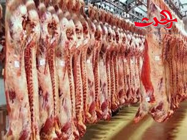 إعفاء العجول وذكور الأغنام الحية المستوردة من الرسوم الجمركية عملا على تخفيضها