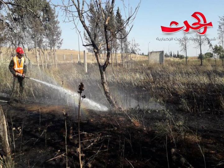 مدير زراعة السويداء: لا يمكن تعويض المزارعين عن خسائرهم من الحرائق