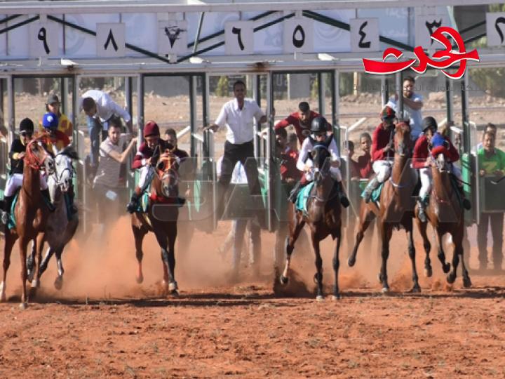 في جو من المنافسة القوية.. استئناف سباقات السرعة للخيول العربية الأصيلة