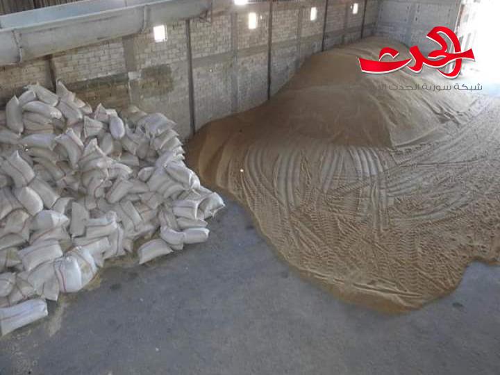 ضبط مطحتة تطحن القمح المحلي في حماة
