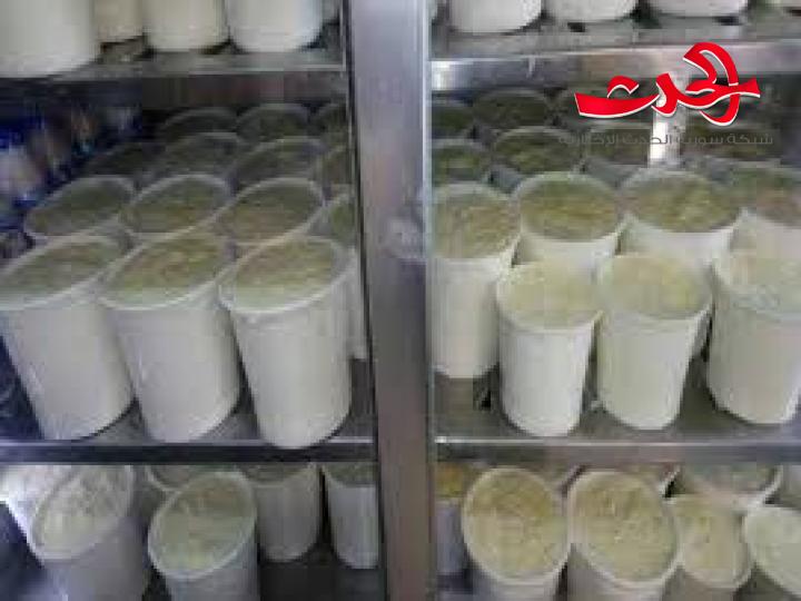 اسعار الحليب في القنيطرة ترتفع.. والسبب الاعلاف؟
