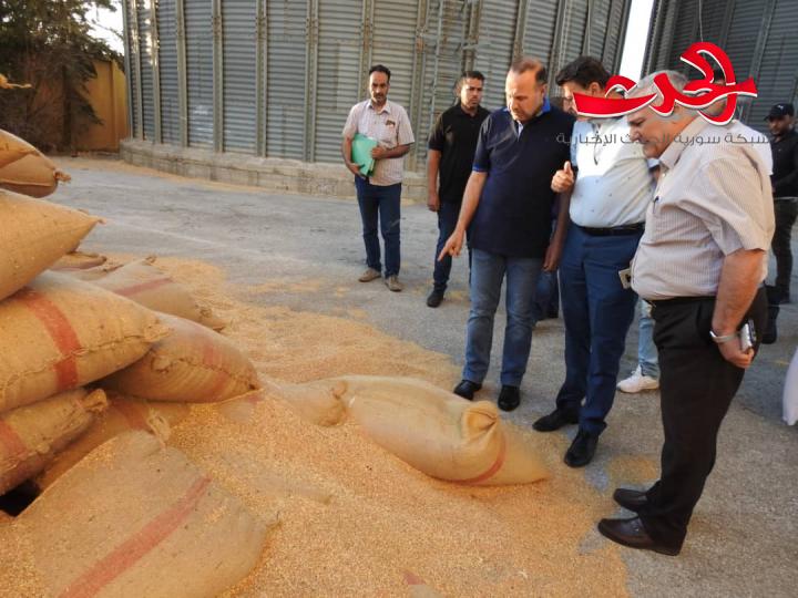 التجارة الداخلية بحماة تضبط مطحنة تتعامل بالقمح الممنوع التعامل به