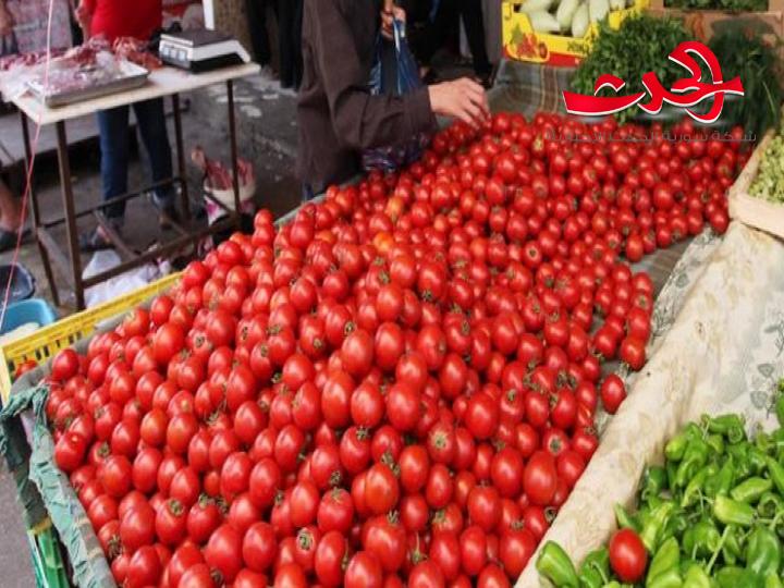 مسؤول: ارتفاع سعر البندورة سببه نهاية انتاح الساحل وبداية انتاج حوران