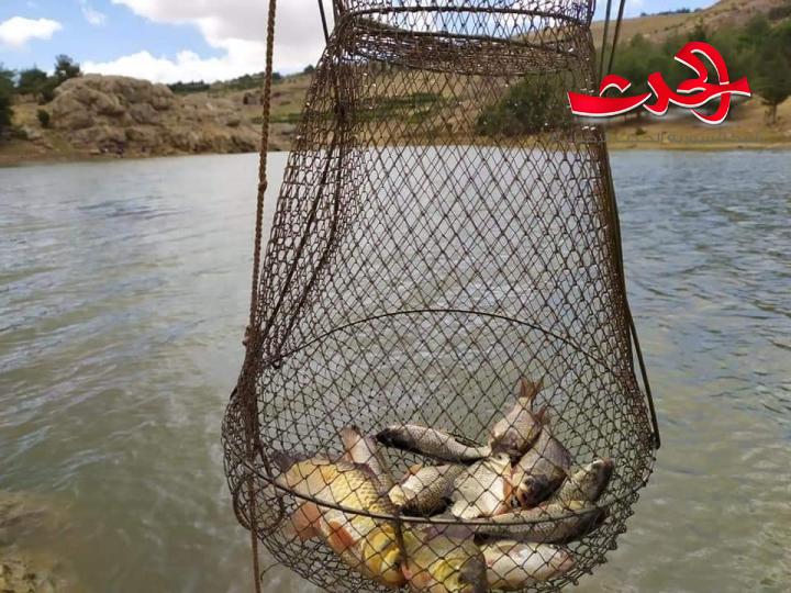 إطلاق أول رحلة سياحية داخلية من درعا لبلودان