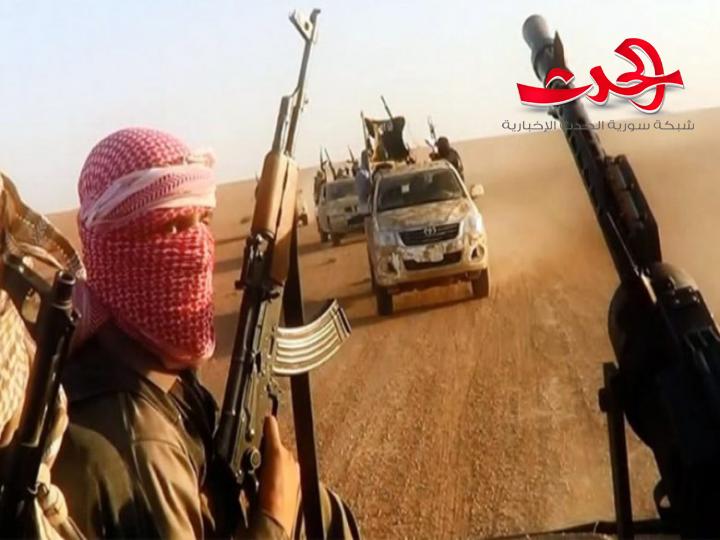 فلول" داعش" ترتكب مجزرة وتسرق قطيعا من الاغنام في ريف الرقة