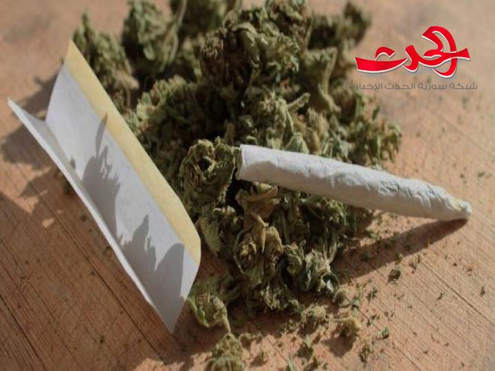 ضبط كمية كبيرة من الحشيش المخدر في يبرود