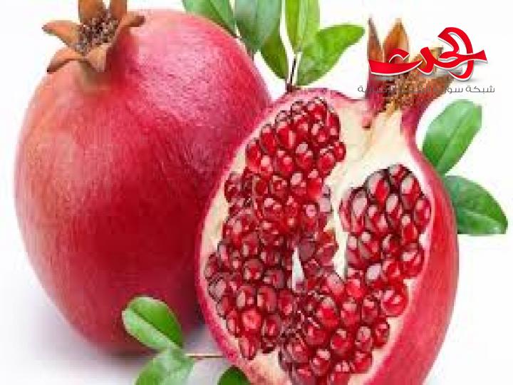 زراعة حمص تقدر إنتاج المحافظة من الرمان بـ 3927 طناً