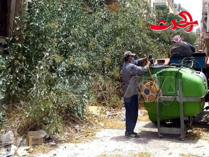 زراعة تدمر تبدأ باتخاذ التدابير لمنع انتشار شجرة التبغ الأزرق الضارة