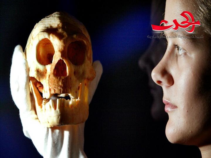 علماء يميطون اللثام عن جريمة غامضة منذ ألفي عام
