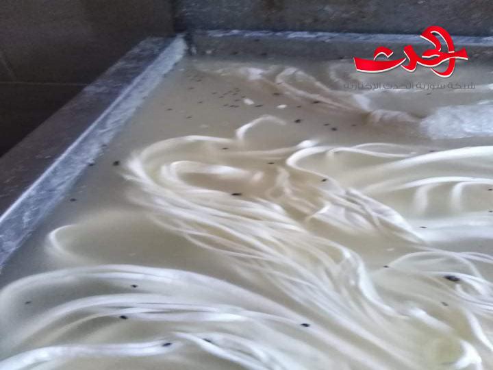 غش بصناعة الأجبان بمصياف