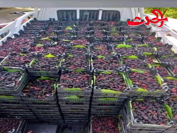 سورية الاولى عرببا في انتاج التوت الشامي