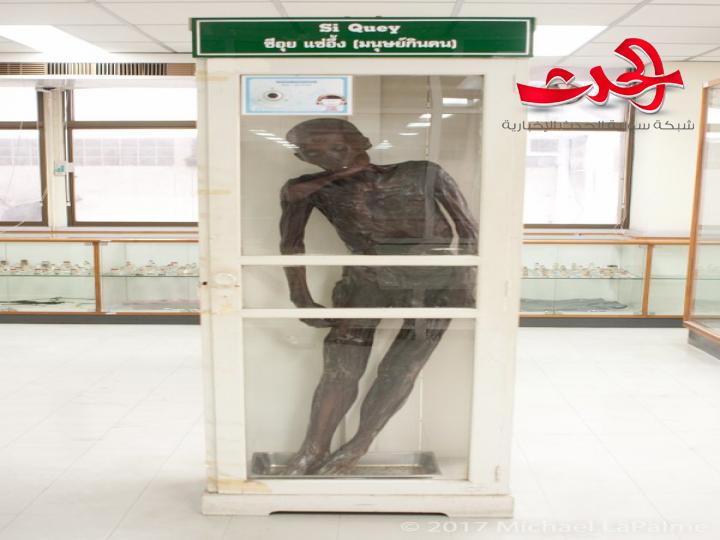 حرق جثة آكل لحوم البشر كانت محنطة في متحف بتايلاند 
