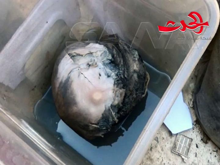 اعضاء بشرية للاتجار بها في أحد اوكار الارهابيين في ادلب