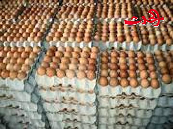 الدواجن تنتج 60 مليون بيضة مائدة و100 طن فروج وتبيع بـ 7 مليارات ليرة منذ بداية العام