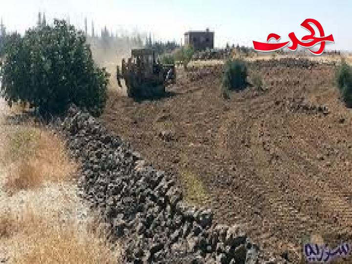 19 ضبطاً حراجياً بسبب التعدي على المواقع الحراجية بدرعا