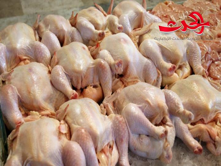 توقعات بانخفاض سعر الفروج 2500 ليرة خلال شهر.. 