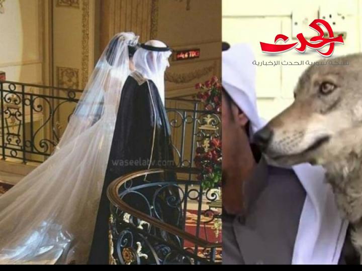 سعودي ادخل الذئب على زوجته في شهر العسل  