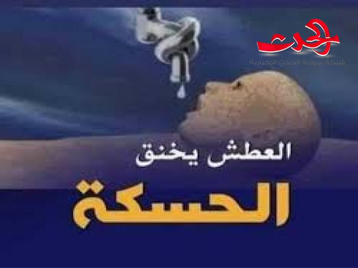 مسعد: ما يرتكب بحق أهالي الحسكة جريمة حرب.. لا بد من قطع أيدي ميليشيا “قسد” والاحتلال ومرتزقته