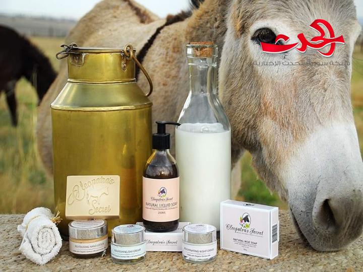 تحذيرات من انخفاض عددها في سوربة ...ألبان وأجبان الحمير الأغلى عالميا
