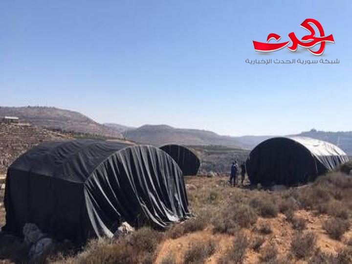 اسرائيليون ينشئون مستوطنة أساسها الخيم وحظيرة اغنام 