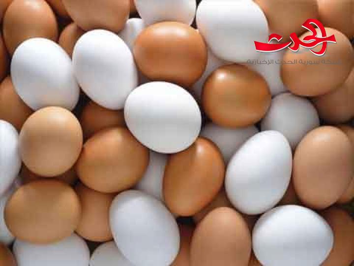 مؤسسة الدواجن تتوقع استمرار ارتفاع أسعار البيض