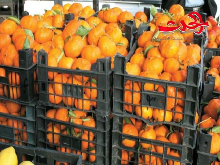 جملة" على هامش معرض دمشق الدولي" تتسبب بمشكلة لمصدري الحمضيات والوزير يحمل المسؤولية لادراة دعم الصادرات السابقة