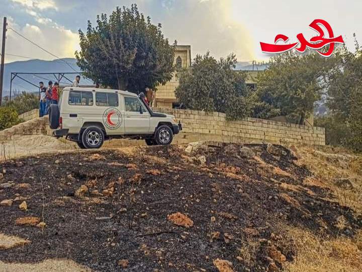 مساعدات غذائية لـ189 أسرة متضررة من حريق عين الكروم