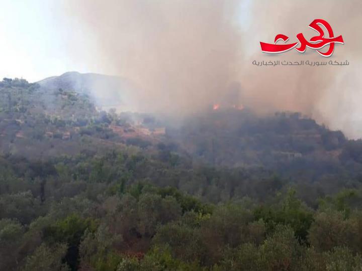 حريق ضخم في البسيط .. وإخماد 7 حرائق في اللاذقية