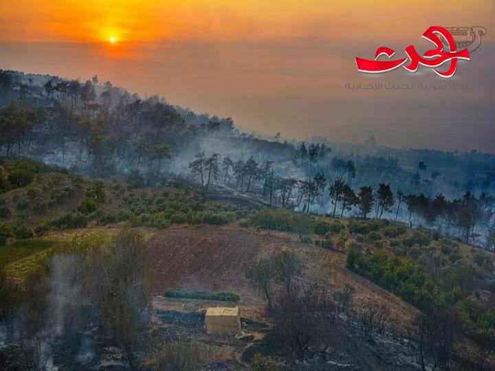 اخماد حريق في احراج صلنفة وآخر في اللاذقية