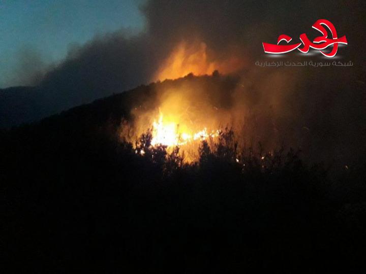 وزير الزراعة: بعد ساعات اجتماع لوضع النقاط على الحروف في التحقيقات حول الحرائق