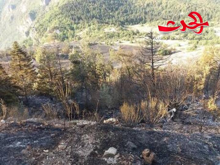 المتسبب في حريق محمية الارز والشوح معروف.. والبحث جار عنه