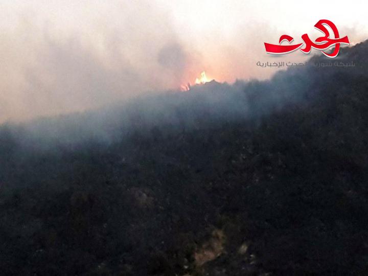 تجدد النيران في غابات بيت عتق والحكر وعين شمس بريف مصياف
