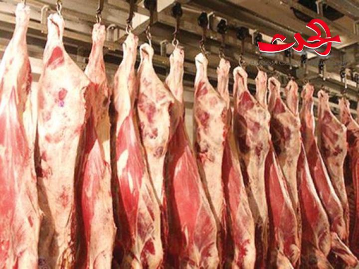 وزير التجارة الداخلية يضبط مستودعا من لحوم الأبقار النافقة 