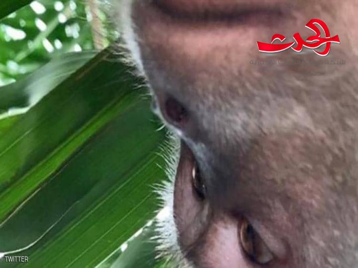 فقد هاتفه المحمول.. ثم اكتشف "مفاجأة مذهلة" حين عثر عليه