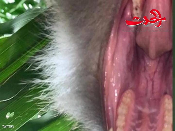 فقد هاتفه المحمول.. ثم اكتشف "مفاجأة مذهلة" حين عثر عليه
