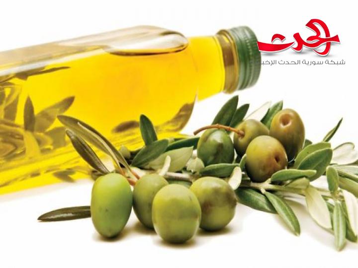 موسم الزيتون في درعا : انخفاص كميات الإنتاج..وارتفاع أسعار..والسبب ؟!