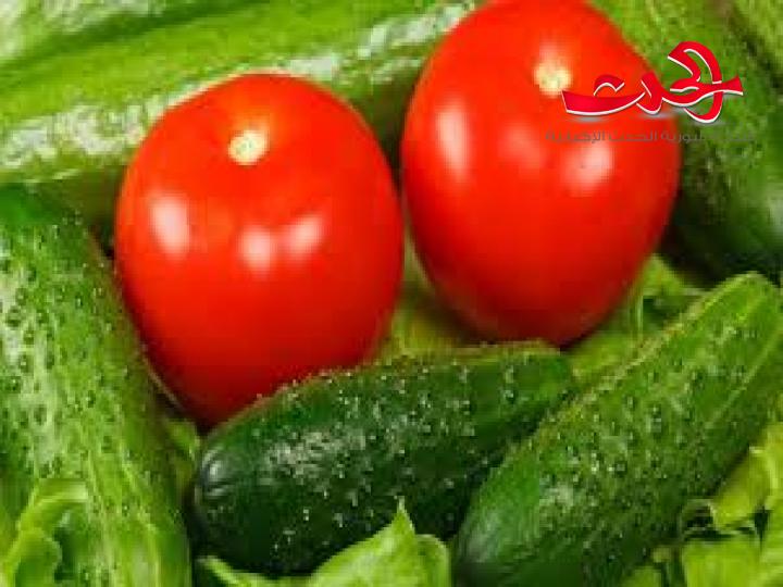 اسامة قزيز يبين اسباب ارتفاع اسعار البندورة والخيار.. ١٢٠ طن للتصدير من البندورة