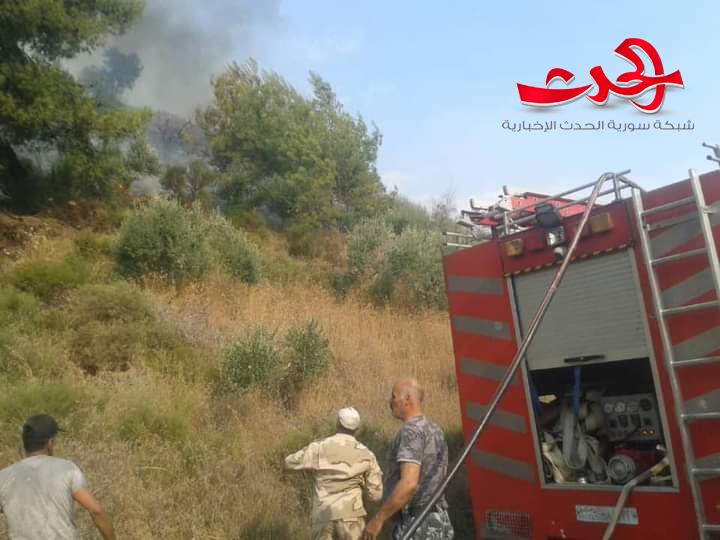 صحة اللاذقية: 70 حالة اختناق متعدد الدرجات نتيجة استنشاق دخان الحرائق بريف المحافظة