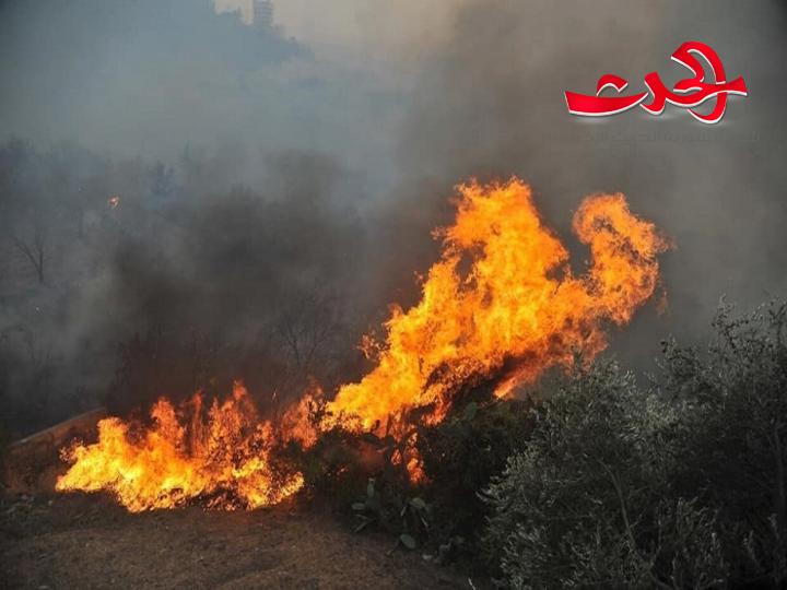 حرائق الغدر جمعت قلوب الأحباء على مائدة التآلف الوطني
