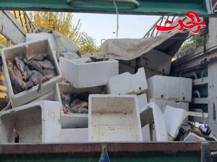 مصادرة أكثر من ثلاثة أطنان من السمك غير الصالح للاستهلاك البشري في دير الزور