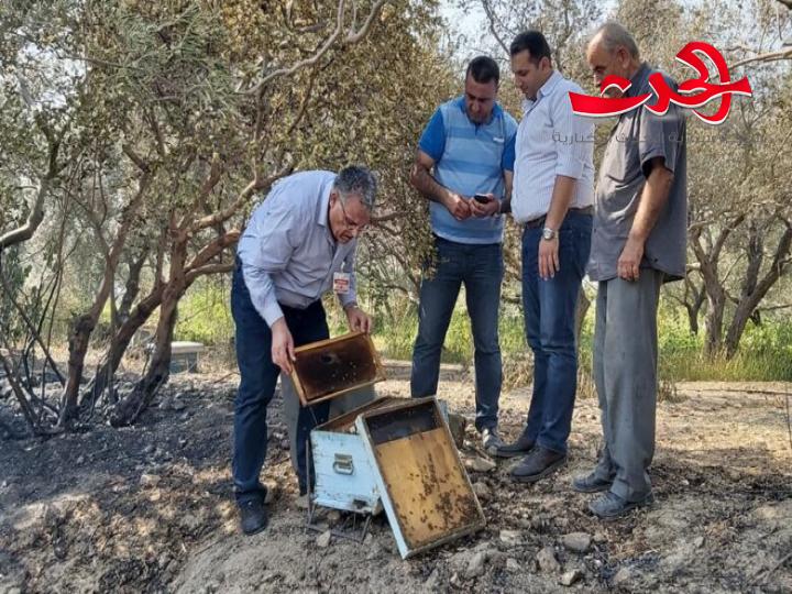 وزير الزراعة: صيغة عاجلة لقروض طويلة ومتوسطة وقصيرة لمساعدة الفلاحين على استثمار أراضيهم