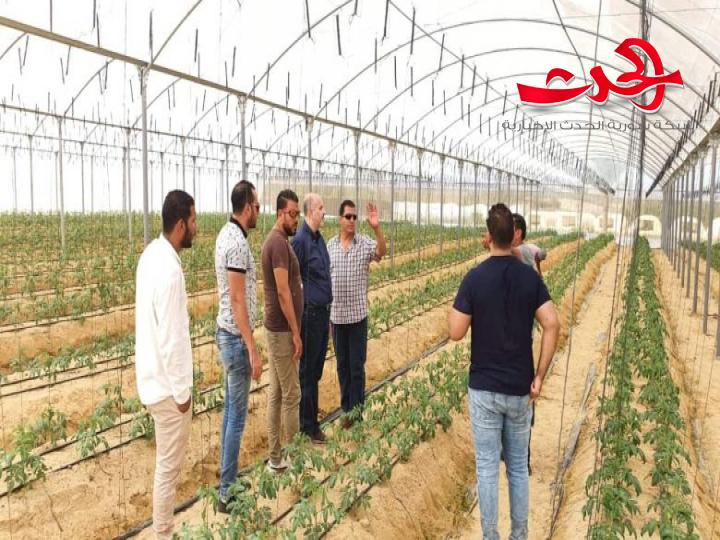 خبير زراعي: سقاية الأرض وتطعيم الأشجار لتنتج خلال عام