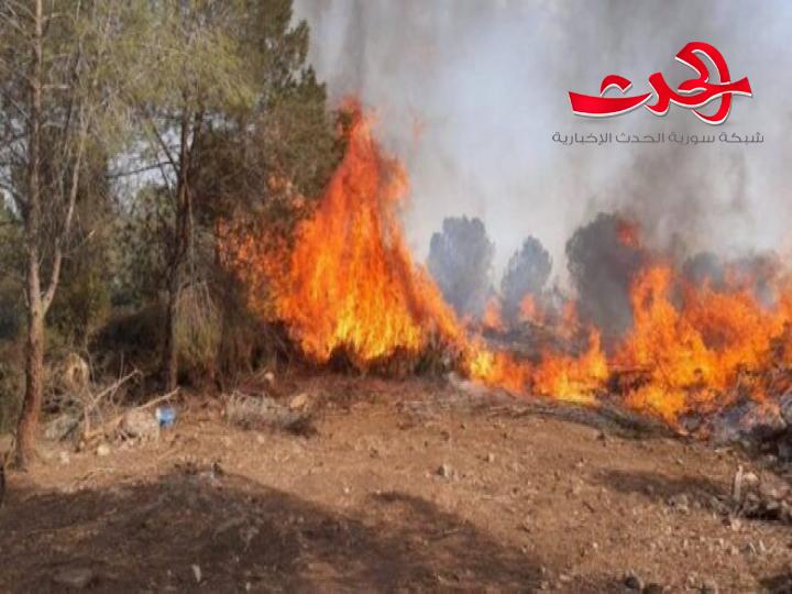 مقترحات لتقديم دعم مادي للشقق التي تضررت في طرطوس نتيجة الحرائق 