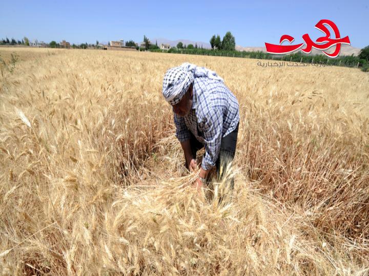 عرنوس: الرغيف خط أحمر ولن يمس إلا في الحدود البسيطة