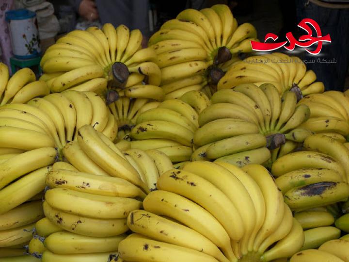 قريبا.. الموز اللبناني في الاسواق وتوقعات بانخفاض اسعاره
