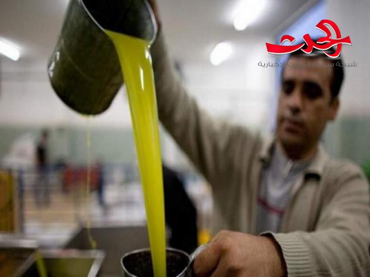 في حمص.. سعر تنكة ازيتون بـ 85000 ليرة سورية