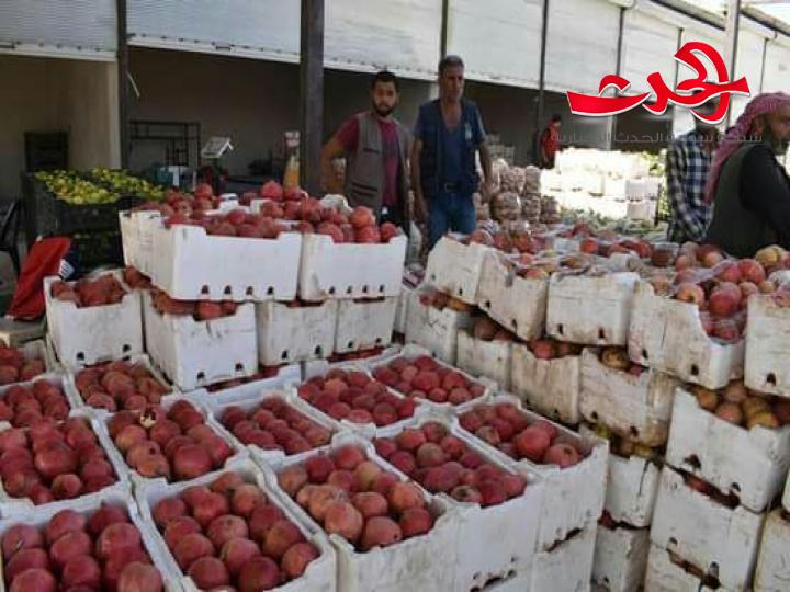 الطيار: أقل من ٥٠٠ طن خضر تدخل سوق الهال يومياً