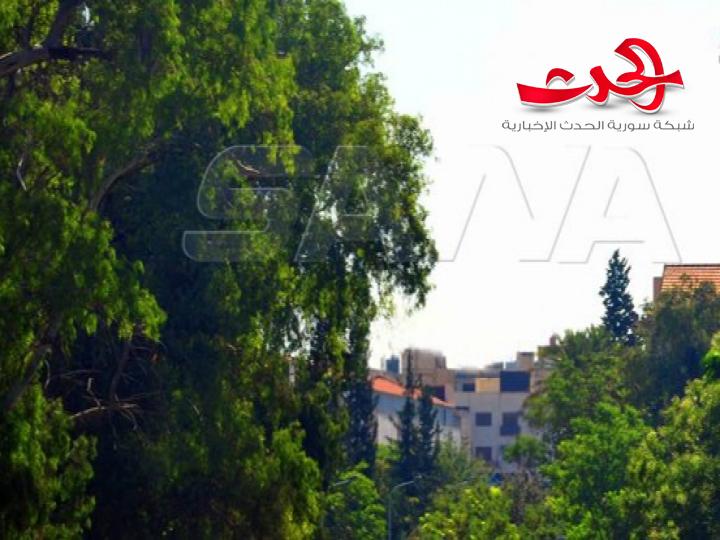 الجو الخريغي والحرارة حول معدلاتها