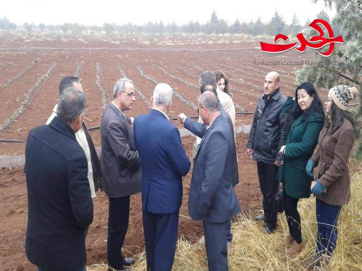 يوم لنتائج إكثار الزعفران في مركز بحوث السويداء...وتكريم فريق العمل