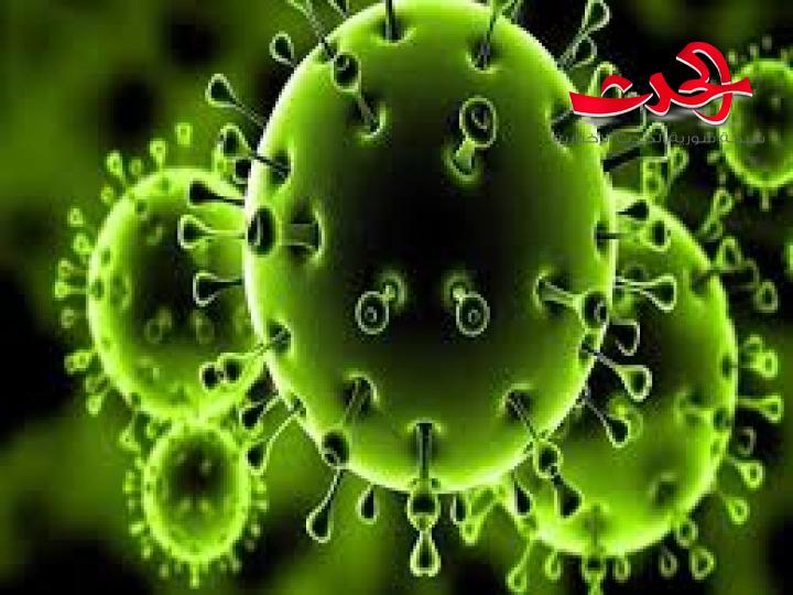 مكتب دفن الموتى في اللاذقية: تسجيل من أربع إلى خمس وفيات بفايروس كورونا يومياً